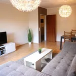 Rent 2 bedroom apartment of 60 m² in Troisdorf