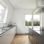 Rent 1 bedroom apartment of 70 m² in Utrecht