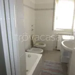 Rent 3 bedroom apartment of 100 m² in Milano