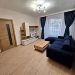 Rent 3 bedroom apartment of 65 m² in Каменица 1