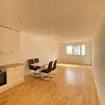 Rent 2 bedroom apartment of 57 m² in Vienna