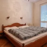 Rent 3 bedroom apartment in Pardubice