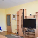 Rent 4 bedroom apartment of 78 m² in Plzeň