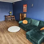 Rent 2 bedroom apartment of 46 m² in Łódź