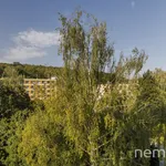 Rent 2 bedroom apartment of 48 m² in Capital City of Prague