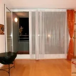 Rent 1 bedroom apartment in  Praha