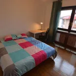 Rent 4 bedroom apartment in Bilbao