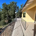 Rent 2 bedroom apartment of 48 m² in Perugia