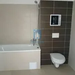 Rent 1 bedroom apartment in Plzeň