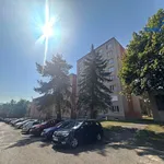 Pronajměte si 2 ložnic/e byt o rozloze 57 m² v Karlovy Vary