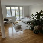 Miete 1 Schlafzimmer wohnung in Zurich