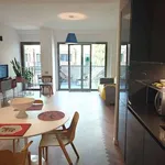 Rent 1 bedroom apartment in rome