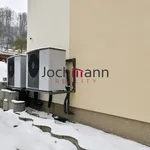 Rent 1 bedroom apartment in Český Krumlov