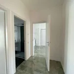 Rent 2 bedroom apartment of 105 m² in Milan