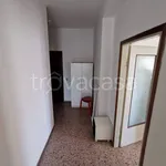 Rent 1 bedroom apartment of 15 m² in Pavia