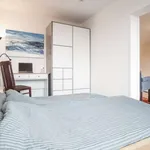 Rent 2 bedroom apartment of 46 m² in berlin