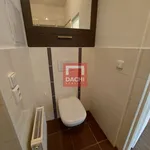 Rent 1 bedroom apartment of 43 m² in Olomouc