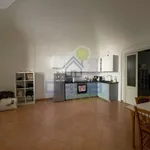 Rent 2 bedroom apartment of 65 m² in Monticelli d'Ongina