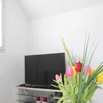 Rent 2 bedroom apartment of 47 m² in Düsseldorf