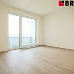 Rent 2 bedroom apartment of 58 m² in Brno