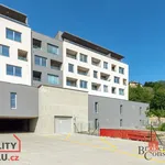 Rent 1 bedroom apartment in Chrudim