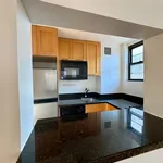 Rent 1 bedroom apartment of 481 m² in Manhattan