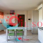 Rent 2 bedroom apartment of 80 m² in Pisa