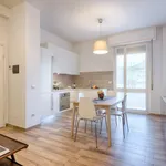 Rent 1 bedroom apartment in Florence