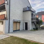 Pronajměte si 1 ložnic/e dům o rozloze 138 m² v Velké Heraltice