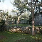 Rent 8 bedroom house of 250 m² in Orbetello