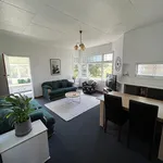 Rent 2 bedroom house in Napier