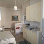 Rent 4 bedroom apartment of 100 m² in Ancona