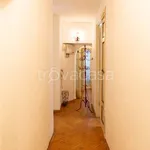 Rent 4 bedroom apartment of 50 m² in Firenze