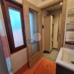 Rent 2 bedroom apartment of 35 m² in San Benigno Canavese