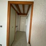  appartement avec 1 chambre(s) en location à Romans-sur-Isère