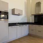 Rent 1 bedroom apartment of 60 m² in Arnhem