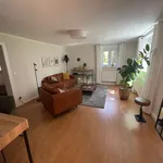 Rent 2 bedroom apartment of 60 m² in Berlin