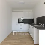 Pronajměte si 3 ložnic/e byt o rozloze 65 m² v Prague