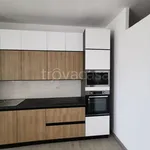 Rent 3 bedroom apartment of 60 m² in Pomezia