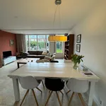 Rent 3 bedroom house of 146 m² in Eindhoven