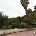 Rent 3 bedroom apartment of 75 m² in Messina