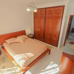 Rent 4 bedroom house of 250 m² in Alcantarilha e Pêra