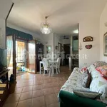 Rent 3 bedroom apartment of 80 m² in Ardea