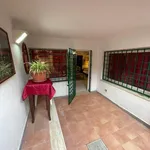 Rent 1 bedroom apartment of 32 m² in Roma