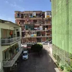 Rent 2 bedroom apartment of 40 m² in Naples