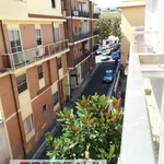 Rent 3 bedroom apartment of 80 m² in Roma