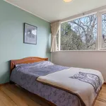 Rent 2 bedroom apartment in Auckland