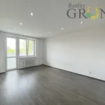 Pronájem bytu 2+1 57m²