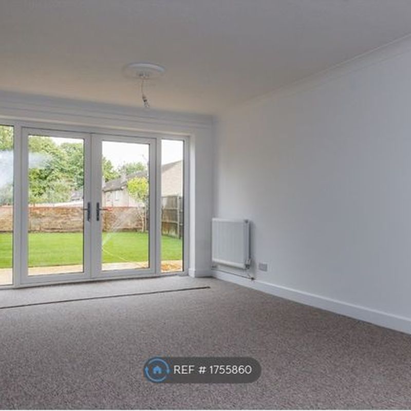 Terraced house to rent in Tudor Close, Thetford IP24 Newtown