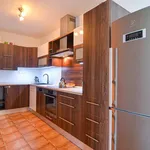 Rent 3 bedroom apartment of 92 m² in Břeclav